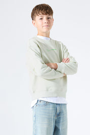 Sweatshirt aus Baumwolle - 6727-milky green - Grün