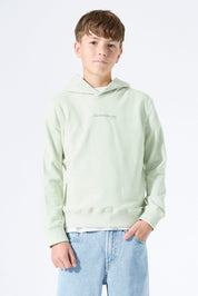 Sweathoodie aus Baumwollmix - 6727-milky green - Grün