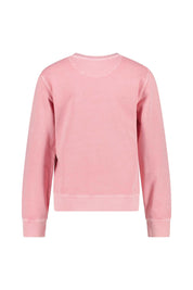 Sweatshirt aus Baumwolle - 627-GERANIUM PINK - Pink