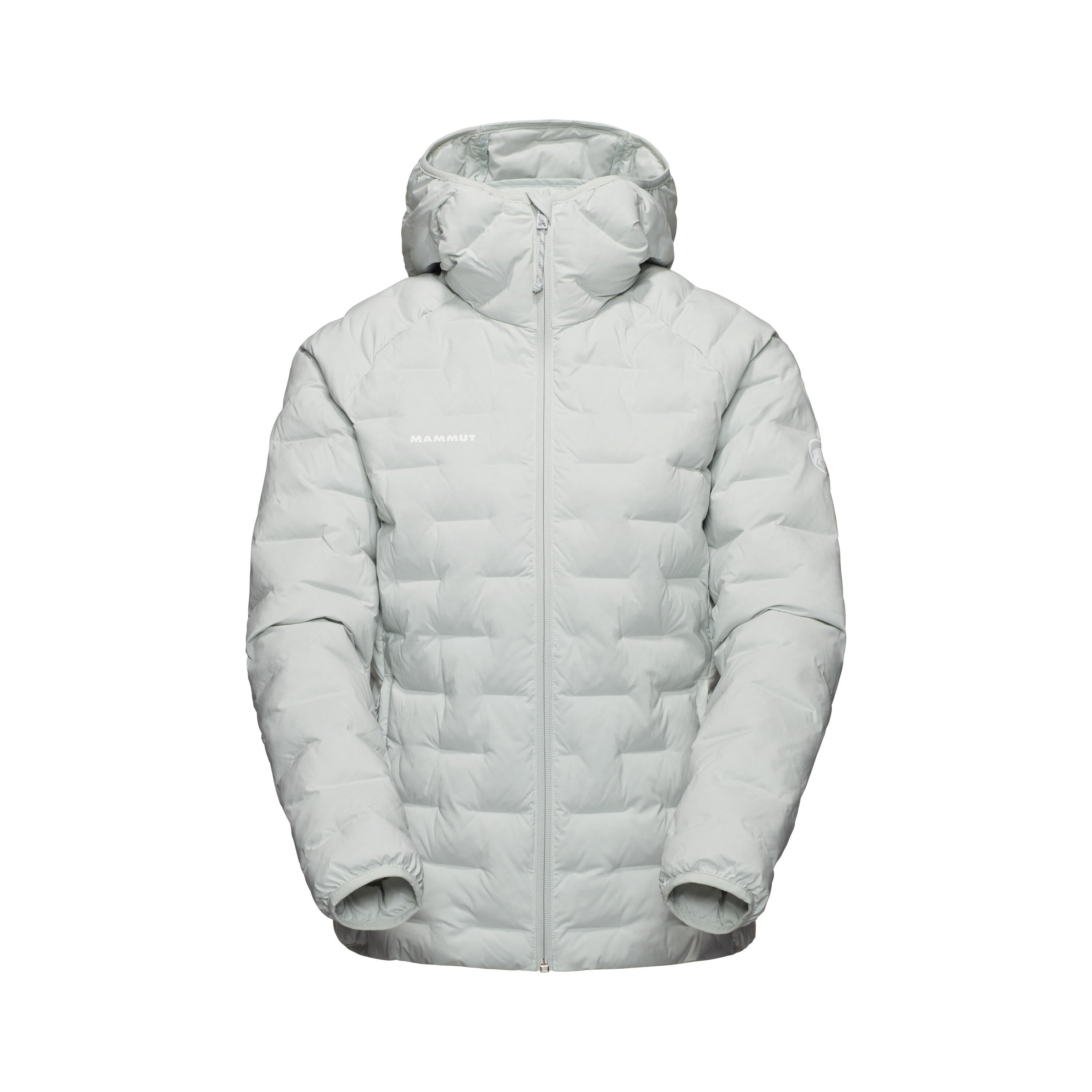 Funktionsjacke Sender IN - 1288-silver sage - Grün