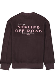 Sweatshirt aus Baumwolle - 6134-raisin - Violett