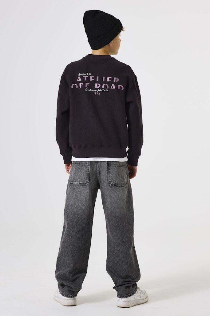 Sweatshirt aus Baumwolle - 6134-raisin - Violett