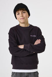 Sweatshirt aus Baumwolle - 6134-raisin - Violett