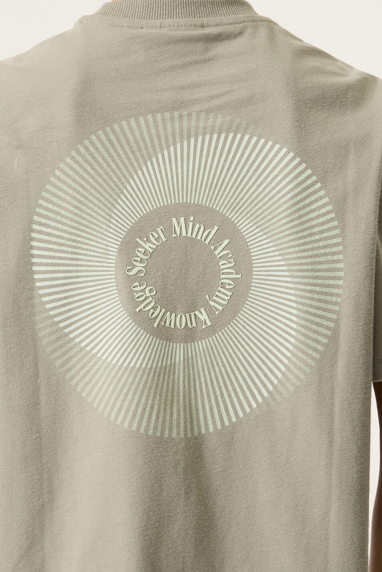 T-Shirt aus Baumwolle - 6726-desert sage - Grün