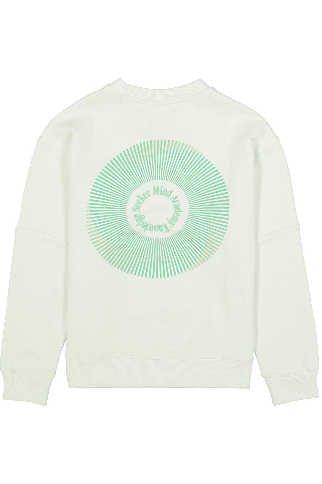 Sweatshirt aus Baumwolle - 6727-milky green - Grün