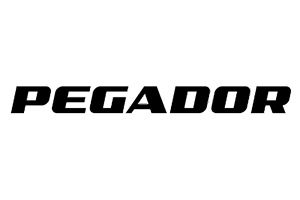 Logo Pegador